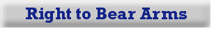 Right to Bear Arms